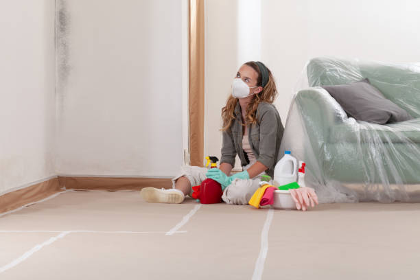 Reliable Mold Removal contractor in Cranford, NJ by WQB Mold Removal